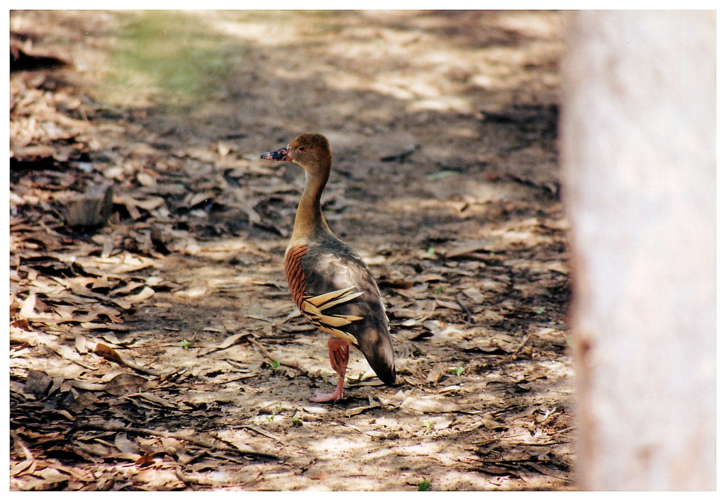 04 - Queensland (12).jpg